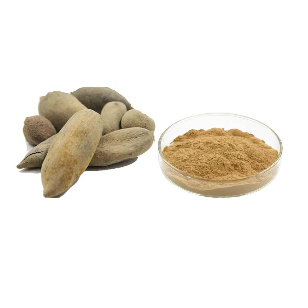 Gallnut Extract Powder TLC 20:1 Ellagic acid