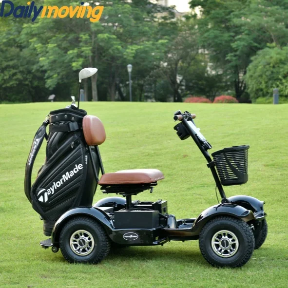 Best Price 1Seat Mini Golf Cart Electric Golf Cart Sightseeing Golf Cart