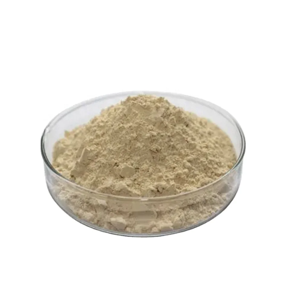 High qualitypanax ginseng root powder 5%-80% ginsenosides Powder organic ginsenosides ginseng extract