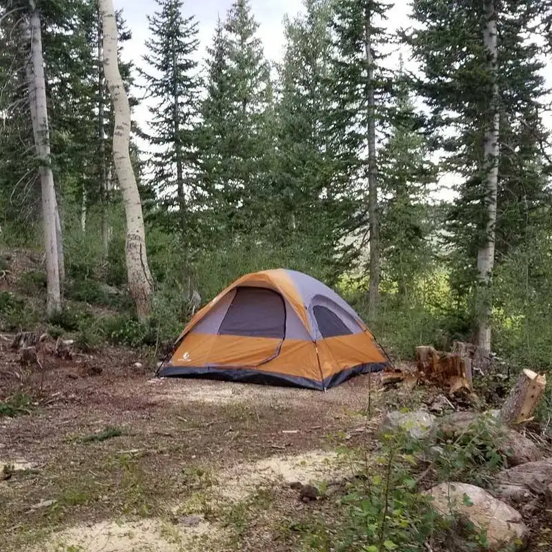 Easy setup 6 people outdoor Ultralight camping tent Fabric manufacture Pop up camping Backpack tent for sale beach tent