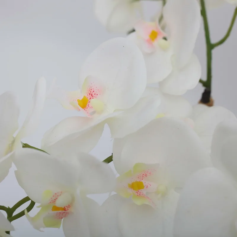 Hot sale high quality faux real touch phalaenopsis Artificial White Phalaenopsis orchid flowers in black ceramic vase