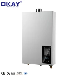 Home Appliance 100% Non-Oxygen Copper Flue Exhaust Instant Gas Water Heater 100 copper gas water heater