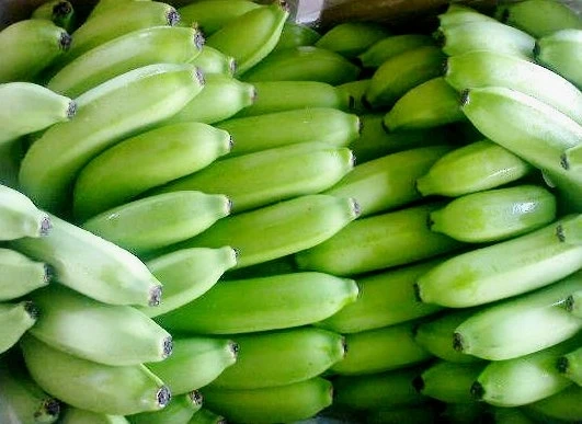 
Vietnam Export Product Fresh cavendish banana Best Price fresh bananas Grade A Best quality 