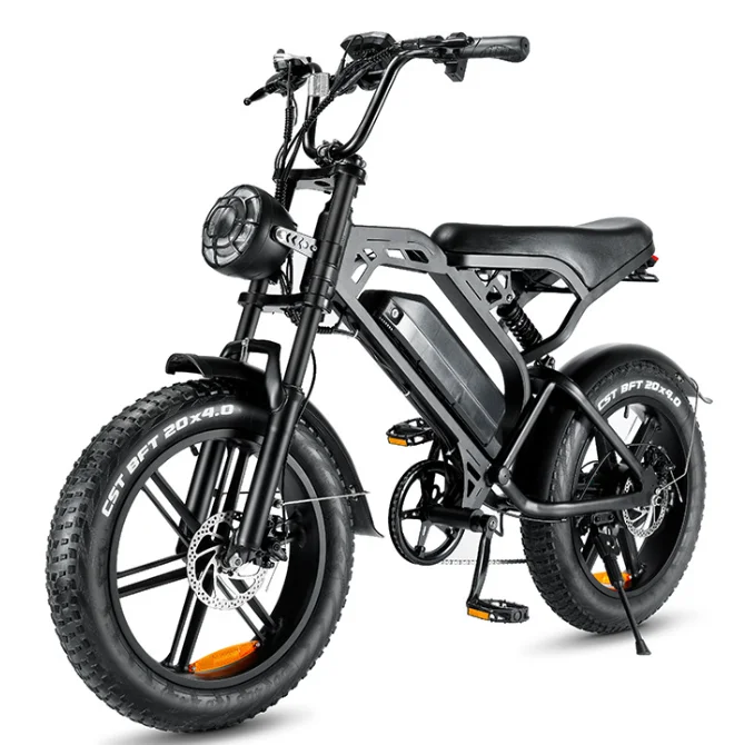 Urban Leisure Electric Scooter Moped Electric Bicycle Steel Customized Logo 48V Rear Hub Motor LEAD-ACID Battery Electronic Bike