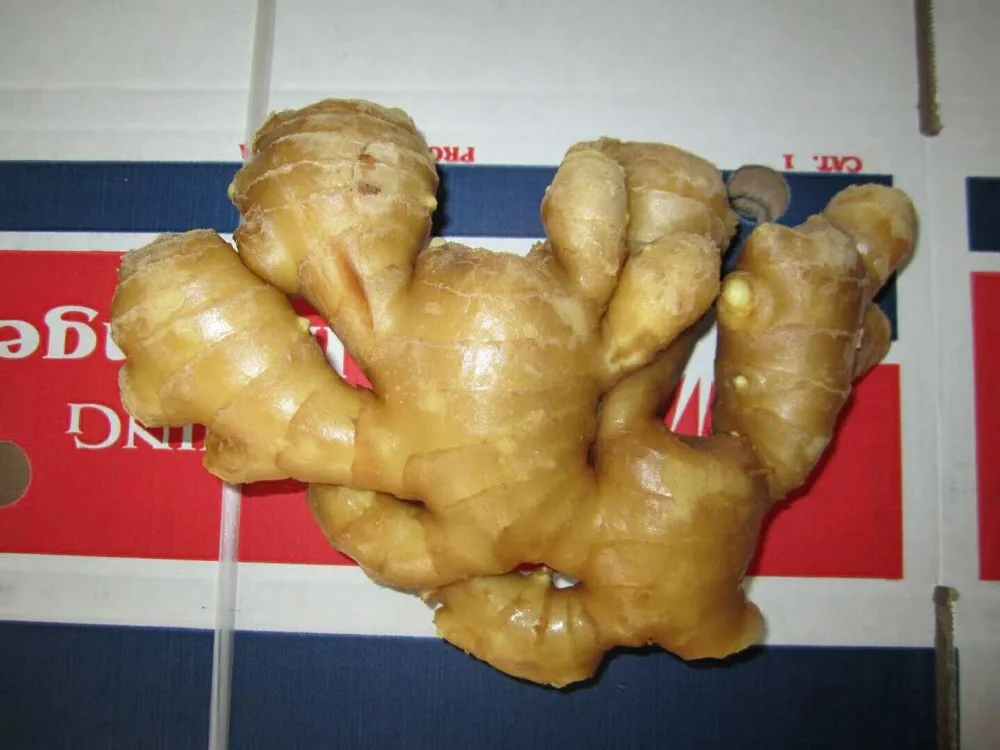 aromatic ginger from red ginger not fresh ginger from thailand