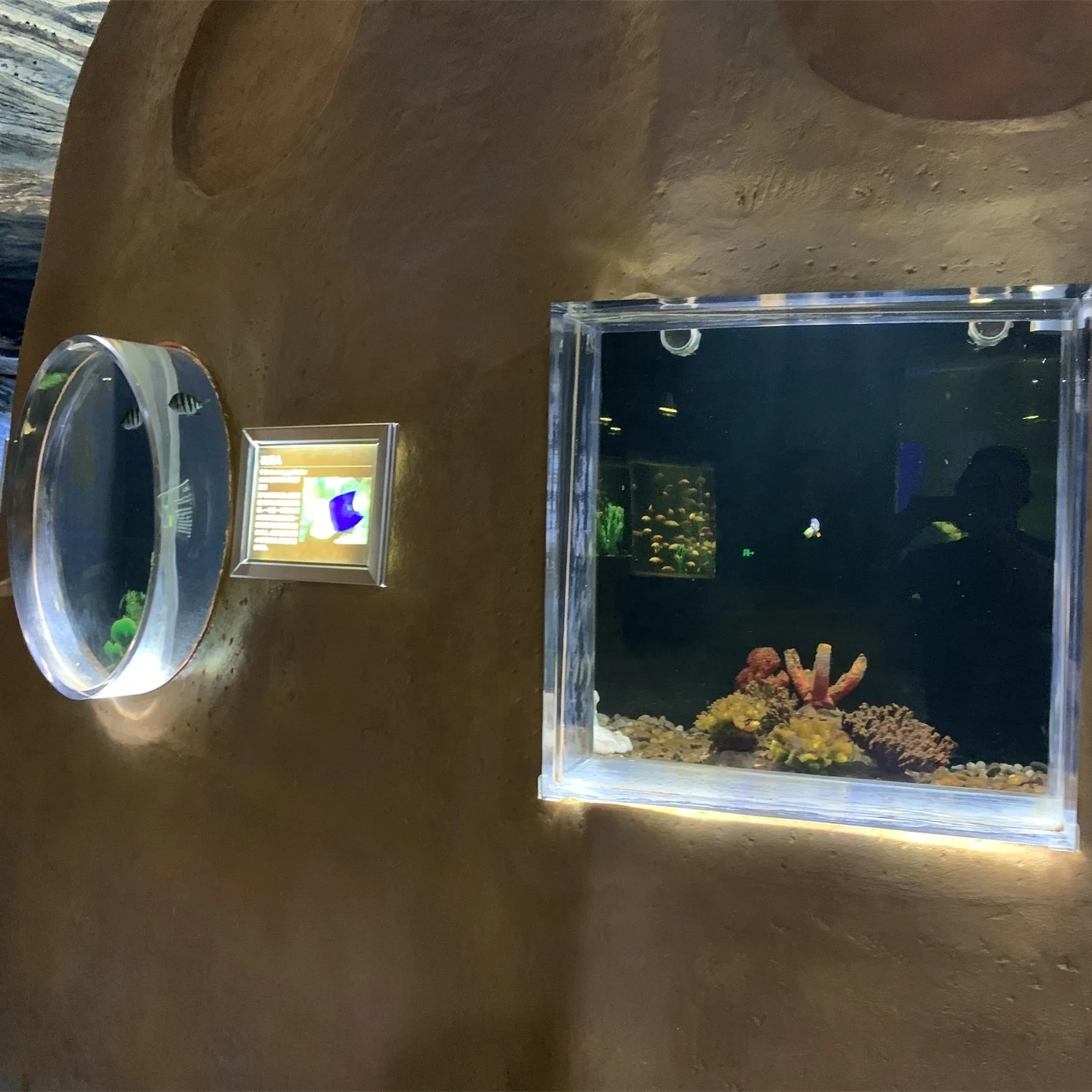 Прозрачный Акриловый Аквариум по низкой цене