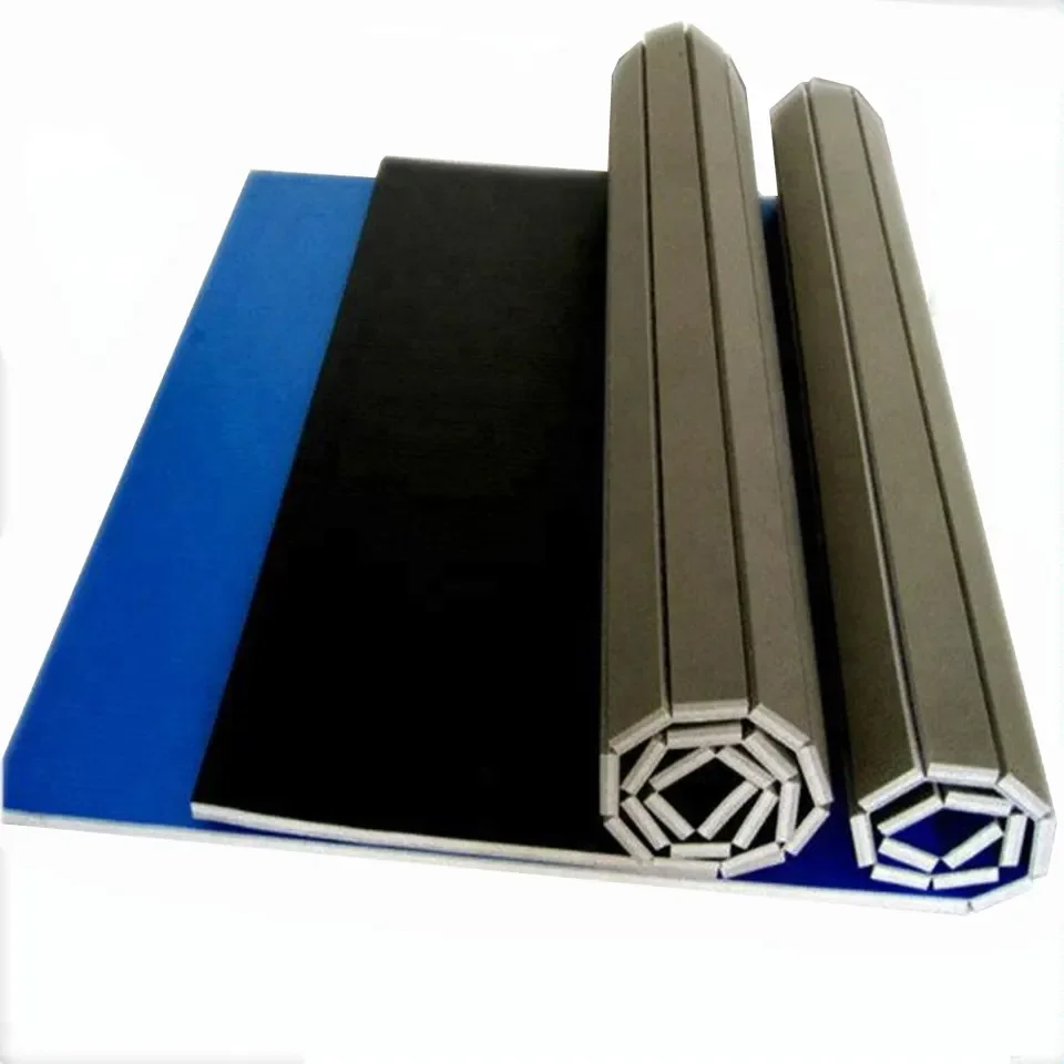 Woosung Hot Sale Tatami Gym Mats Bjj Roll Mat Judo Tatami Roll Out Mats