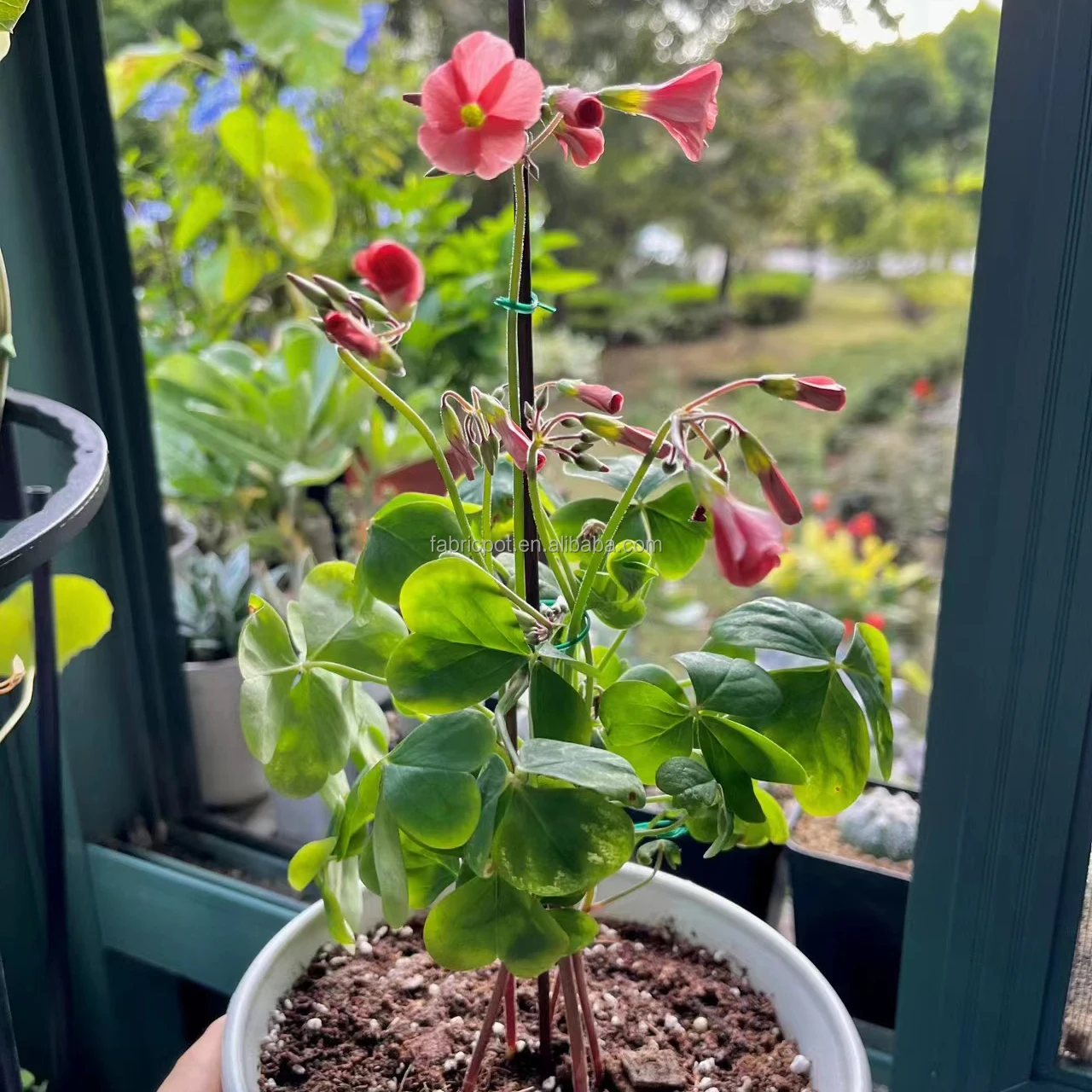 OEM Green Garden Soft Twist Wire Tie Garden Plant Tie Releasable PVC Coated Metallic Wire Twist Cable Ties