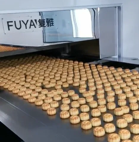 450 kg/h Automatic Tunnel Oven/ Maamoul Production Line