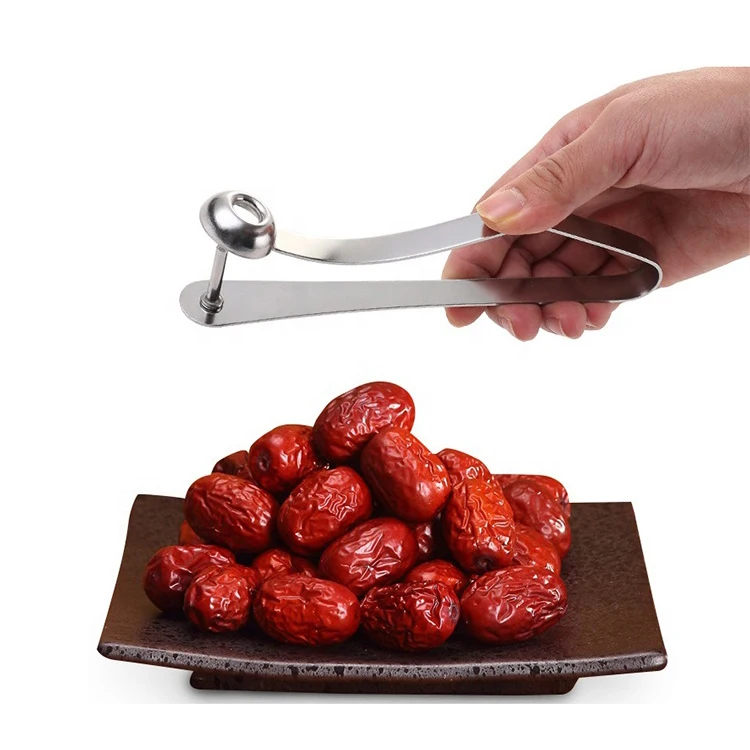 Kitchen Gadget Stainless Steel Putter Red date hawthorn Cherry Olive Plum Sheller Fruit Jujube Corer Seed Remover