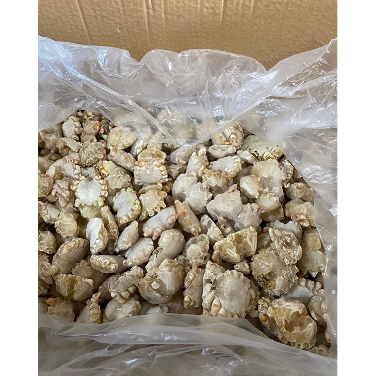 Top Quality Frozen Crab Supplier Fresh Delicious Specialty Crab