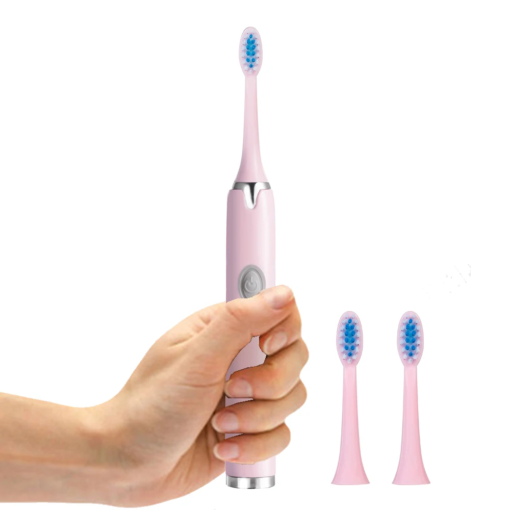 Wholesale Sonic Adult Electrical Tooth Brush Popular Battery Power Home Use Electrical Tooth Brush Sonic Electric Toothbrush