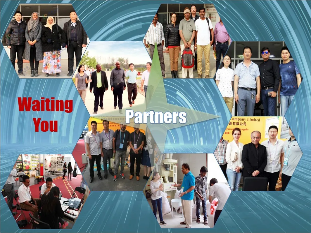 Maize corn peeling grinding germ extraction machine corn germ separation machine