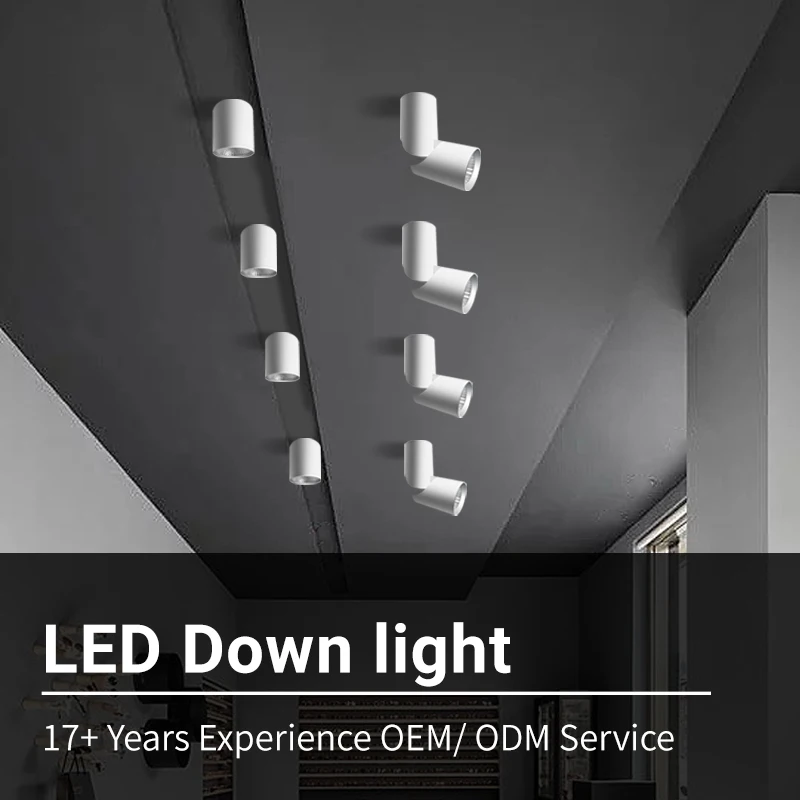 Indoor Ceiling Suspended Light 0-10V/DALI/Triac Dimmable 347V Adjustable Spotlight Surface mounted COB LED Downlight