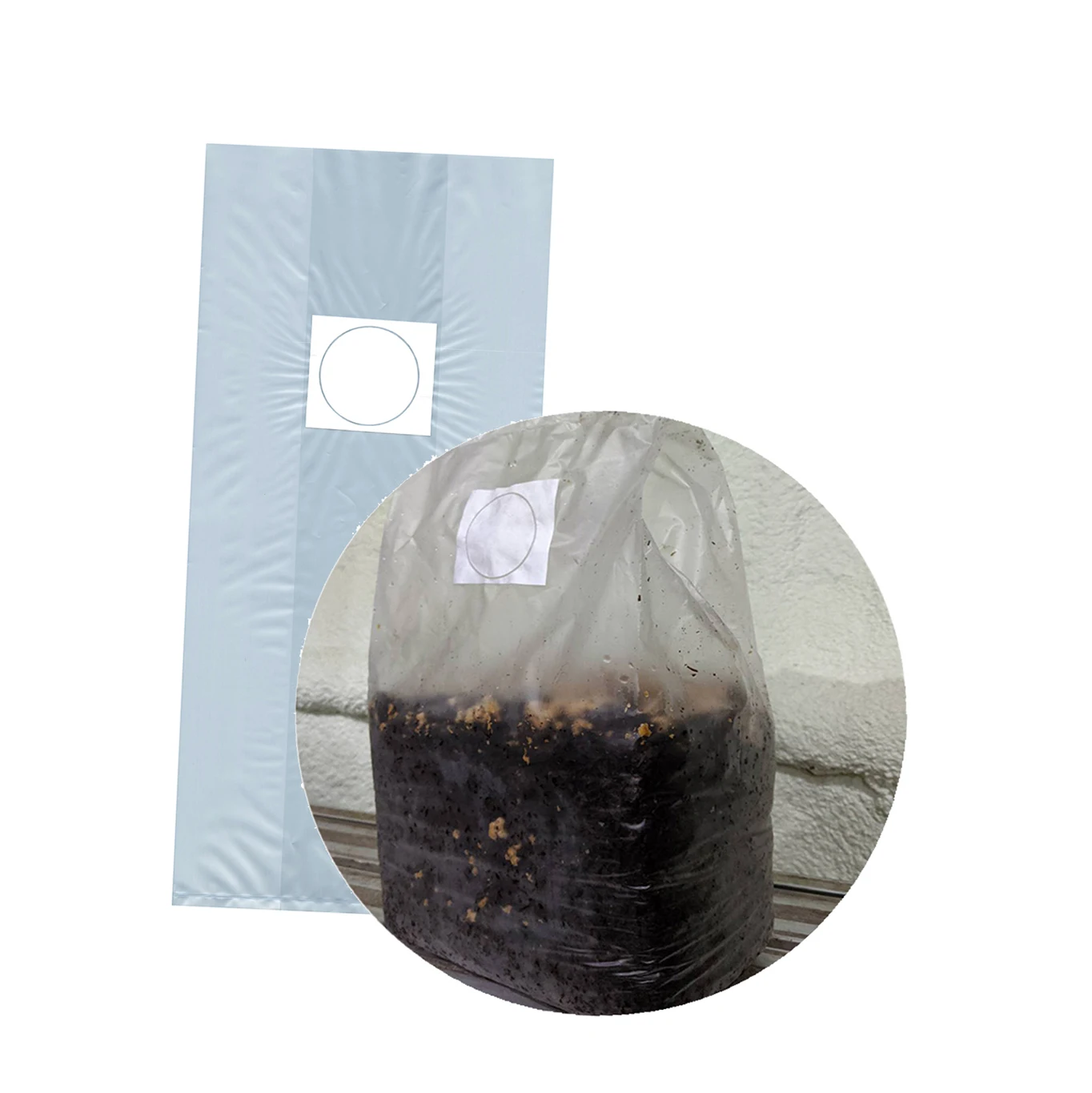 High quality shiitake spawn biodegradable mushroom grow bags