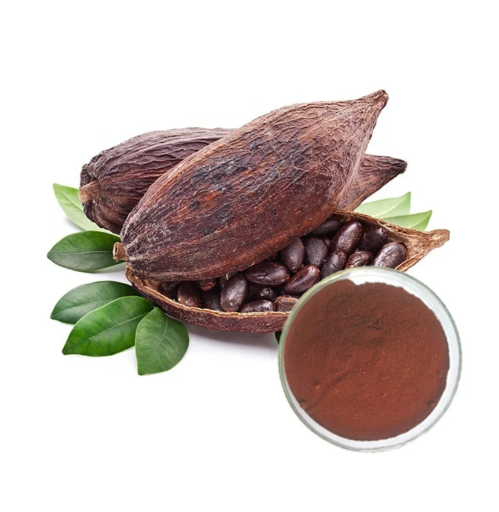 Factory supply high Purity Theobroma 100% Cacao Raw Cocoa Powder for health food