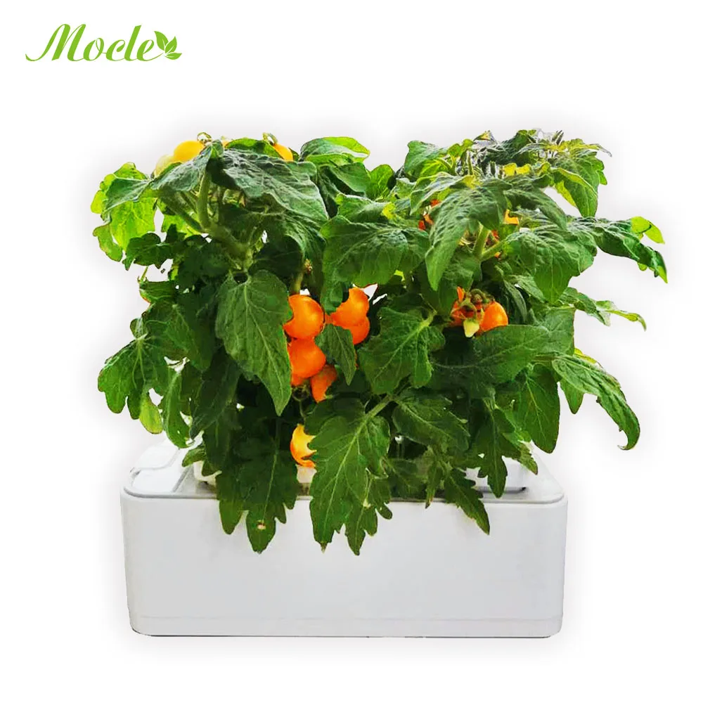 RY New products hydro plant grown smart planter pot small plant watering system