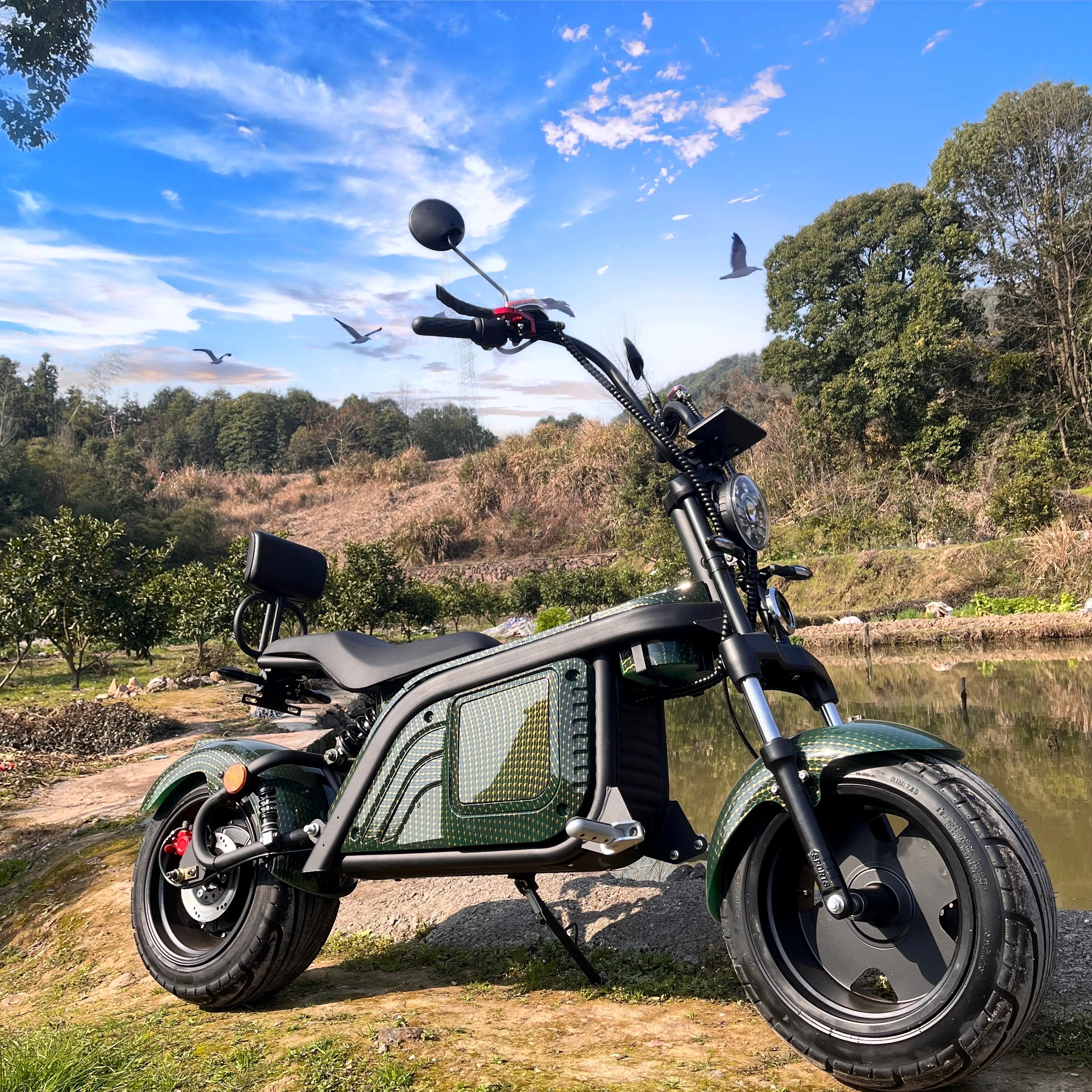 EEC Electric Motorcycle Scooter With COC Certificate Holland High Power Citycoco 3000W 2 Wheel Electric Scooter With Seat