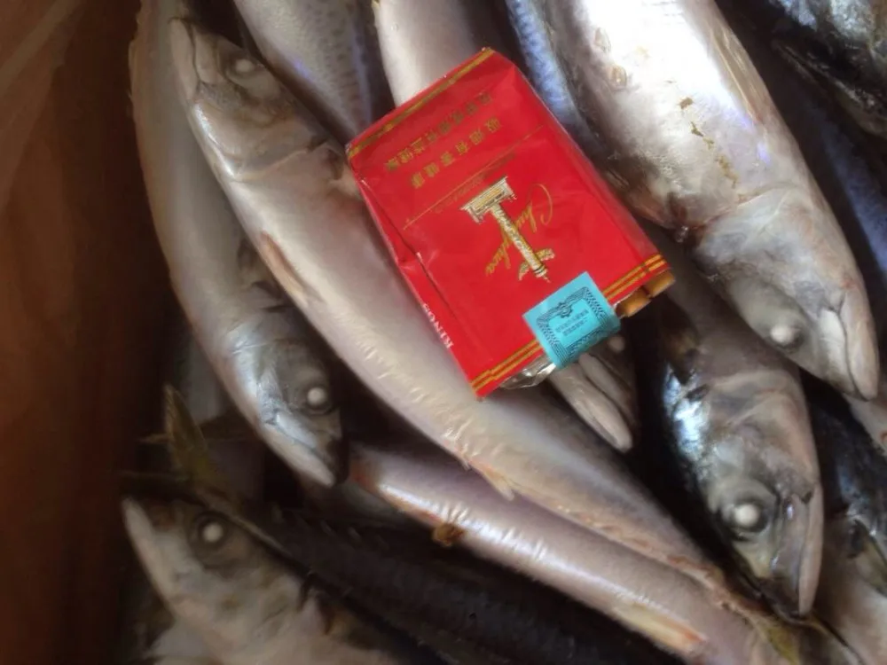 Frozen Seafood Frozen Pacific Mackerel Fish Supplier For Thailand Market