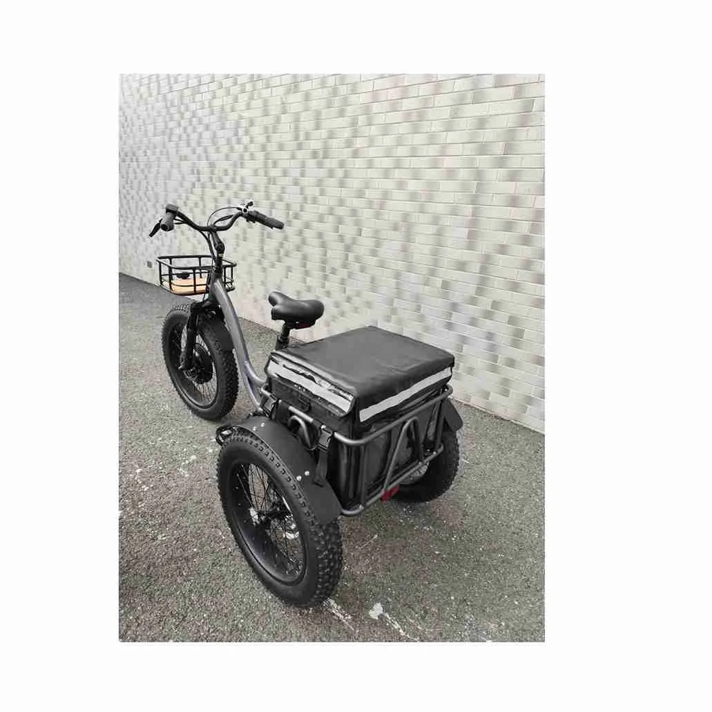 2023 48V 1000W Motor Tricycle Bike Tricycle Three Wheels Electric Bike For Adult Electric Tricycles 3 Wheel Electric Cargo Bike