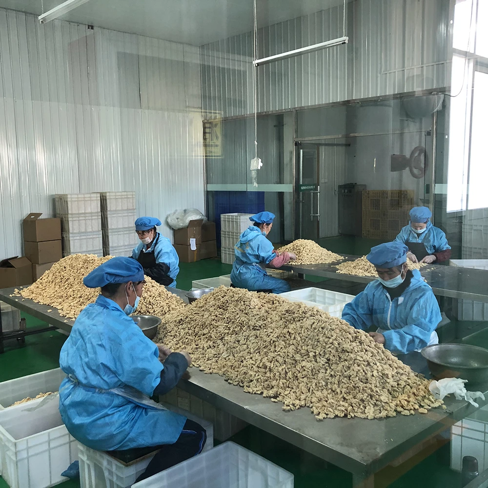 China Wholesale Yunnan Original 185 Walnuts 33mm Food Carton Packaging From Shaaxi Xian City Low Raw Material Shell 3A