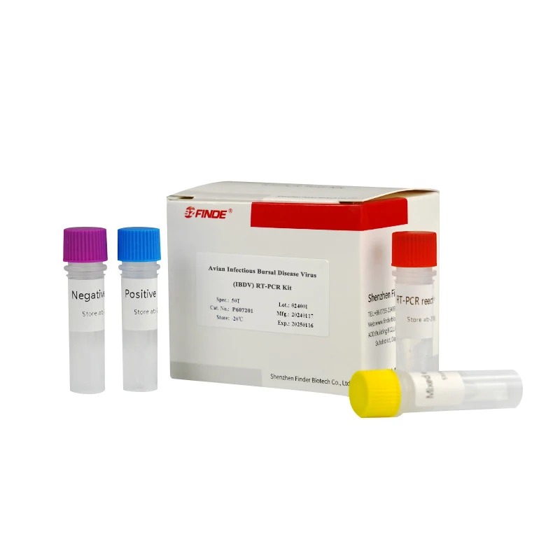 Accurate IBDV RT-PCR Kit Veterinary Diagnostic Instrument for Avian Infectious Bursal Disease Virus Detection and Diagnosis