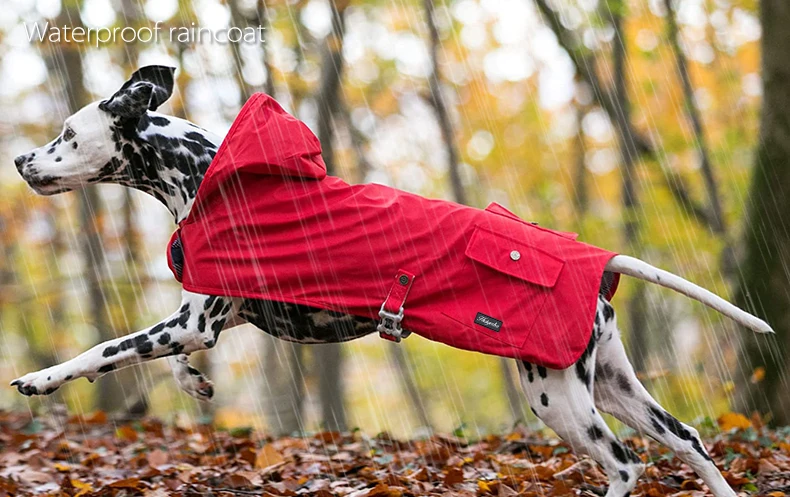 3 Dog Raincoats.jpg