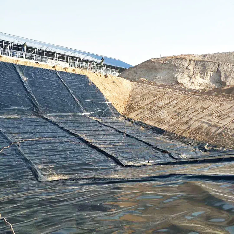 Геомембрана для рыболовного фермерского пруда HDPE / LDPE