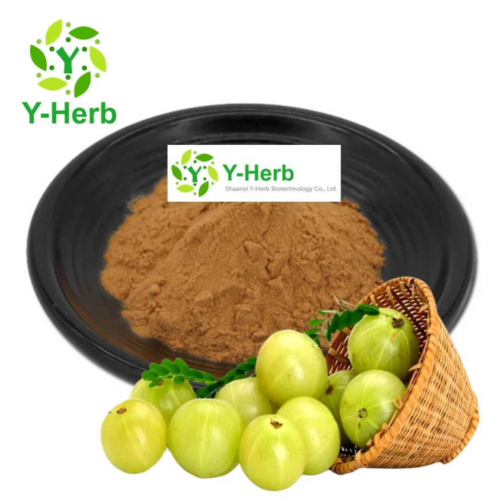 Amla Phyllanthus Emblica Fruit/Berry Extract Powder 4:1 10:1 Phyllanthus Emblica Extract