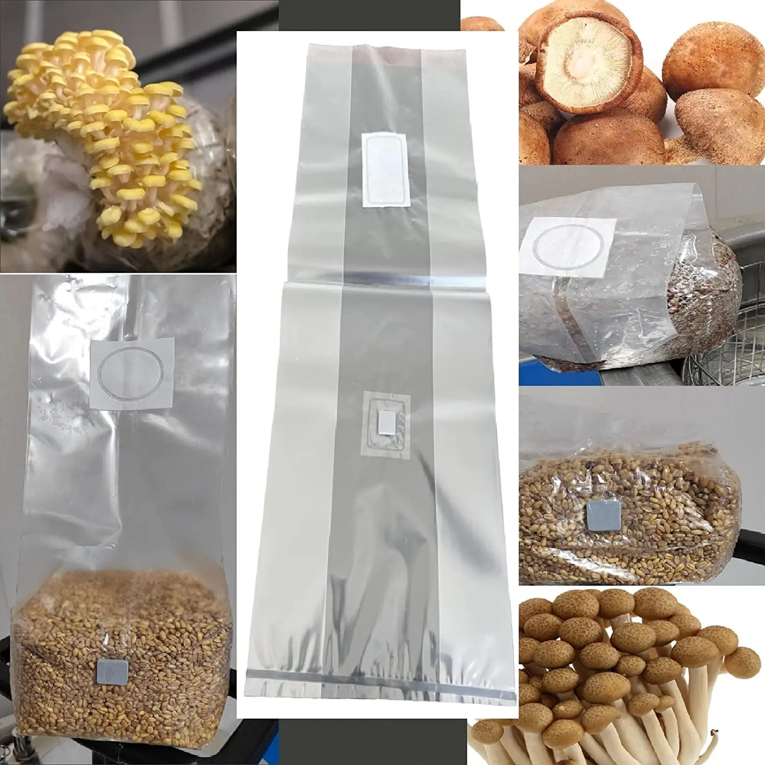 Polypropylene material 25X14X65 CM biodegradable oyster mushroom grow bag