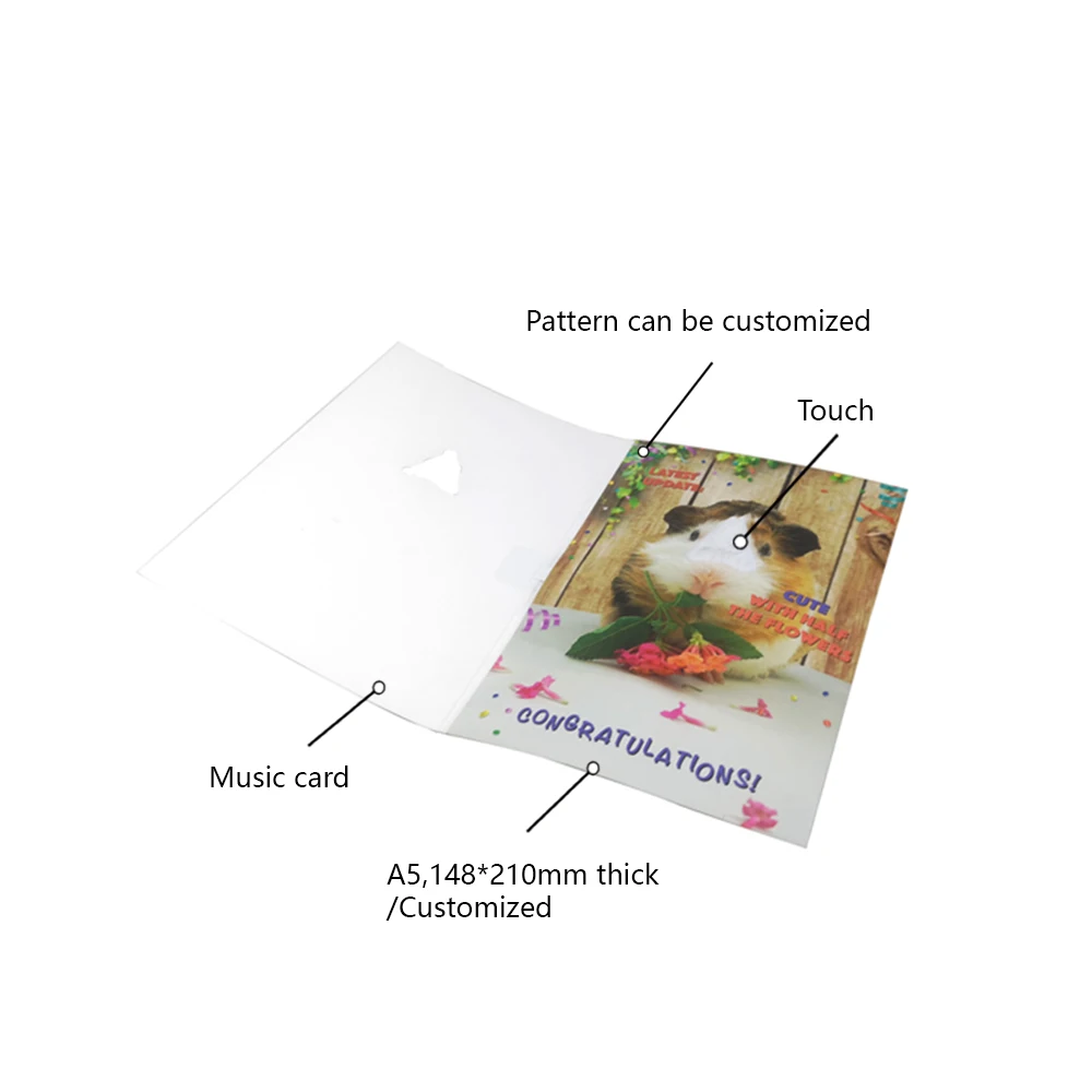 music greeting card insert sound chip with custom song