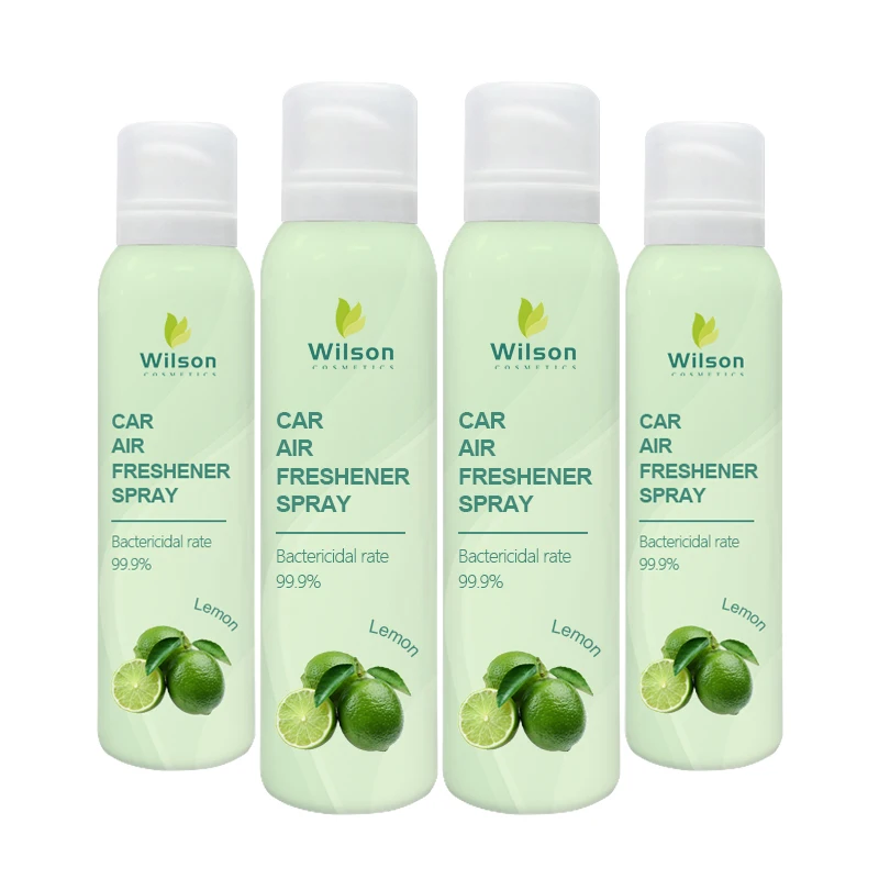 Long Lasting Refillable car air freshener spray Aluminum cans iron cans 120ml Free sample Aroma Diffuser Fragrance Aerosol