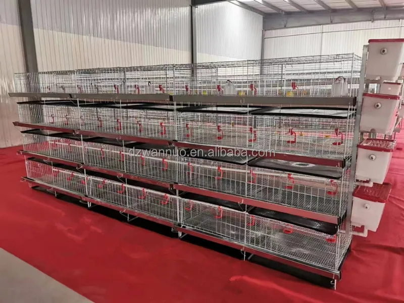 Poultry farm automatic chicken broiler day old chicks baby breeding cage H type 4 tires chicks brooder cage for home use