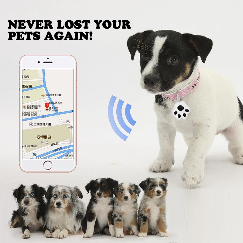 Joypet Factory Wholesale Mini Pet Smart GPS Pet Wireless Locator Tracker Car Kids Luggage Tracker