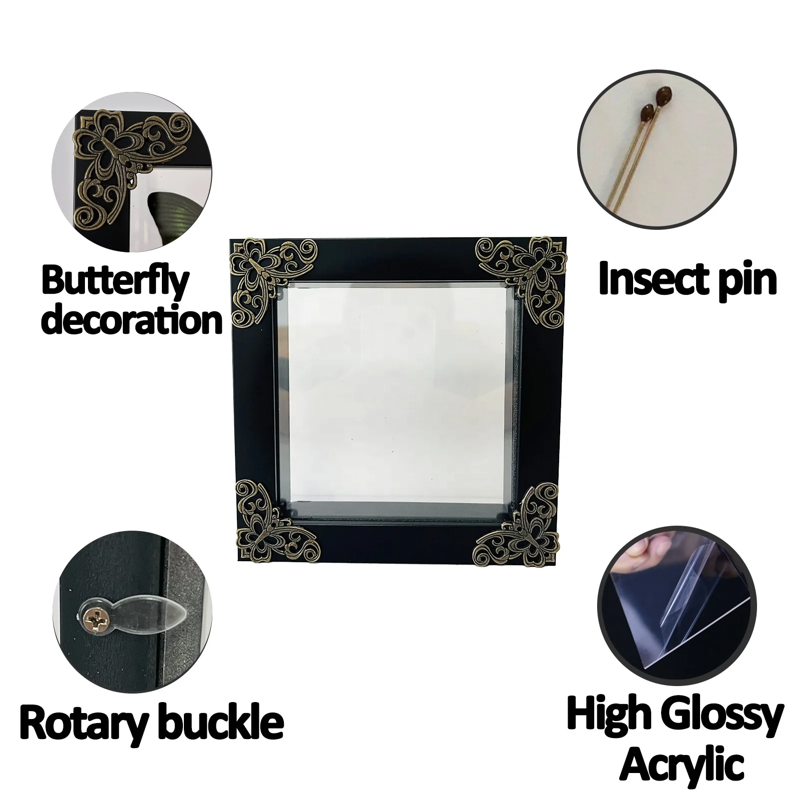 Insect Display Case Butterfly Shadow Box with Top Eva Foam Insect Display Box Butterfly Display Insect Pinning Kit Butterfly Box