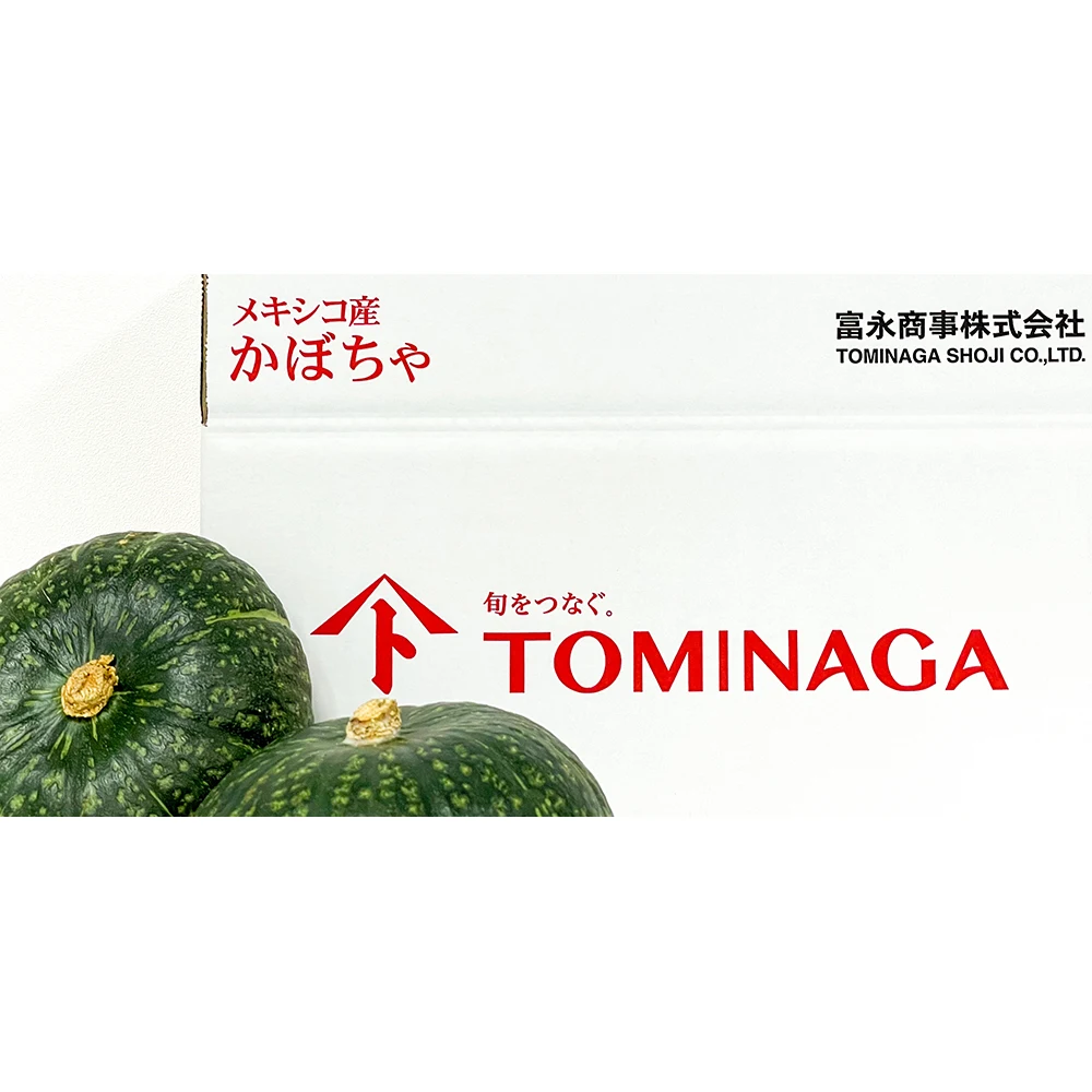 High Quality Sweet Japanese Vegetable Fresh Pumpkin Squash Kabocha