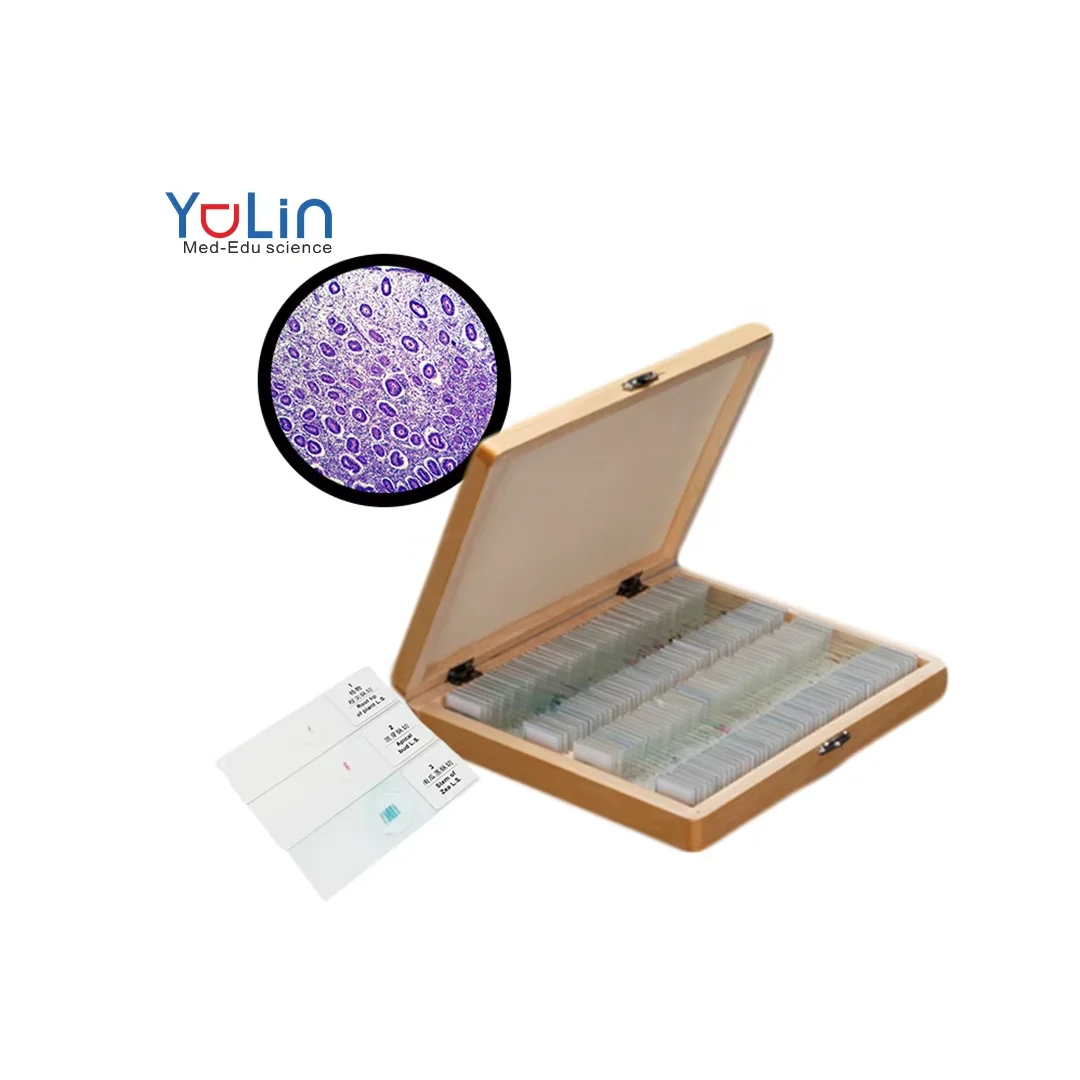 Student Microscope Specimen Collection Mixed Prepared Slides from Factory 100 Pcs Set Wooden Box