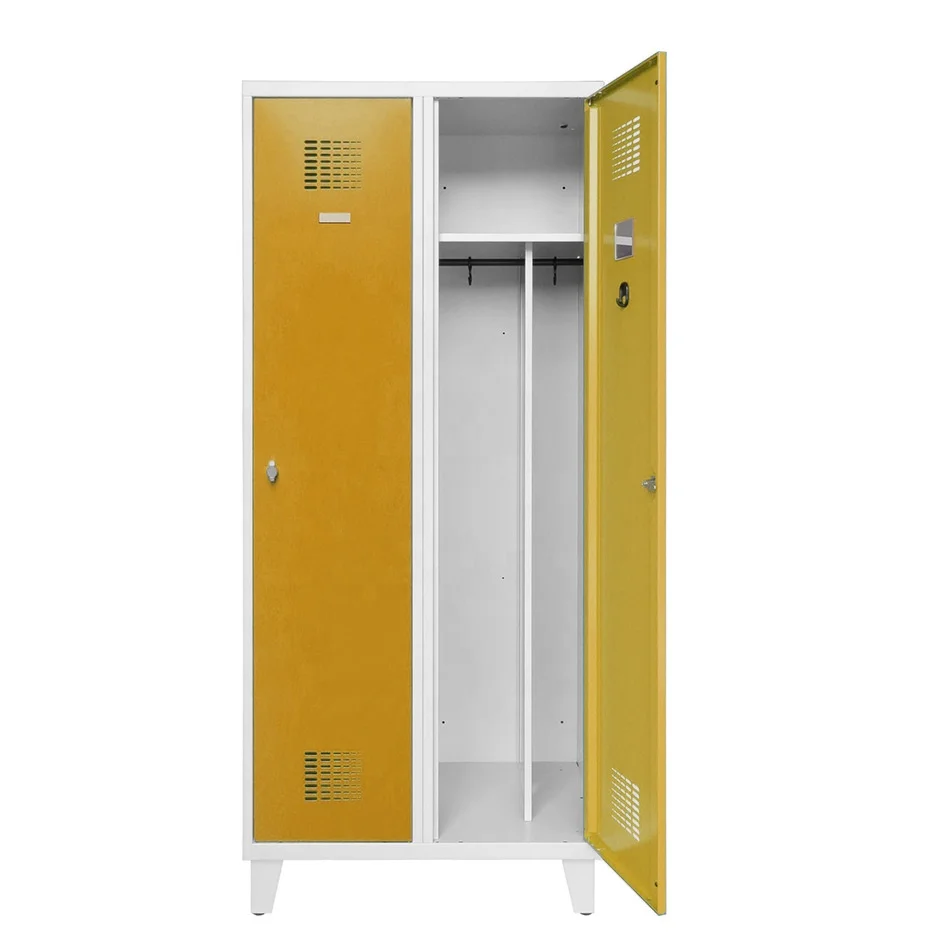 Luoyang Factory Hot Sale Cheap 2 Door Gym Lockers Powder Coated Steel Storage Clothes Metal Lockers