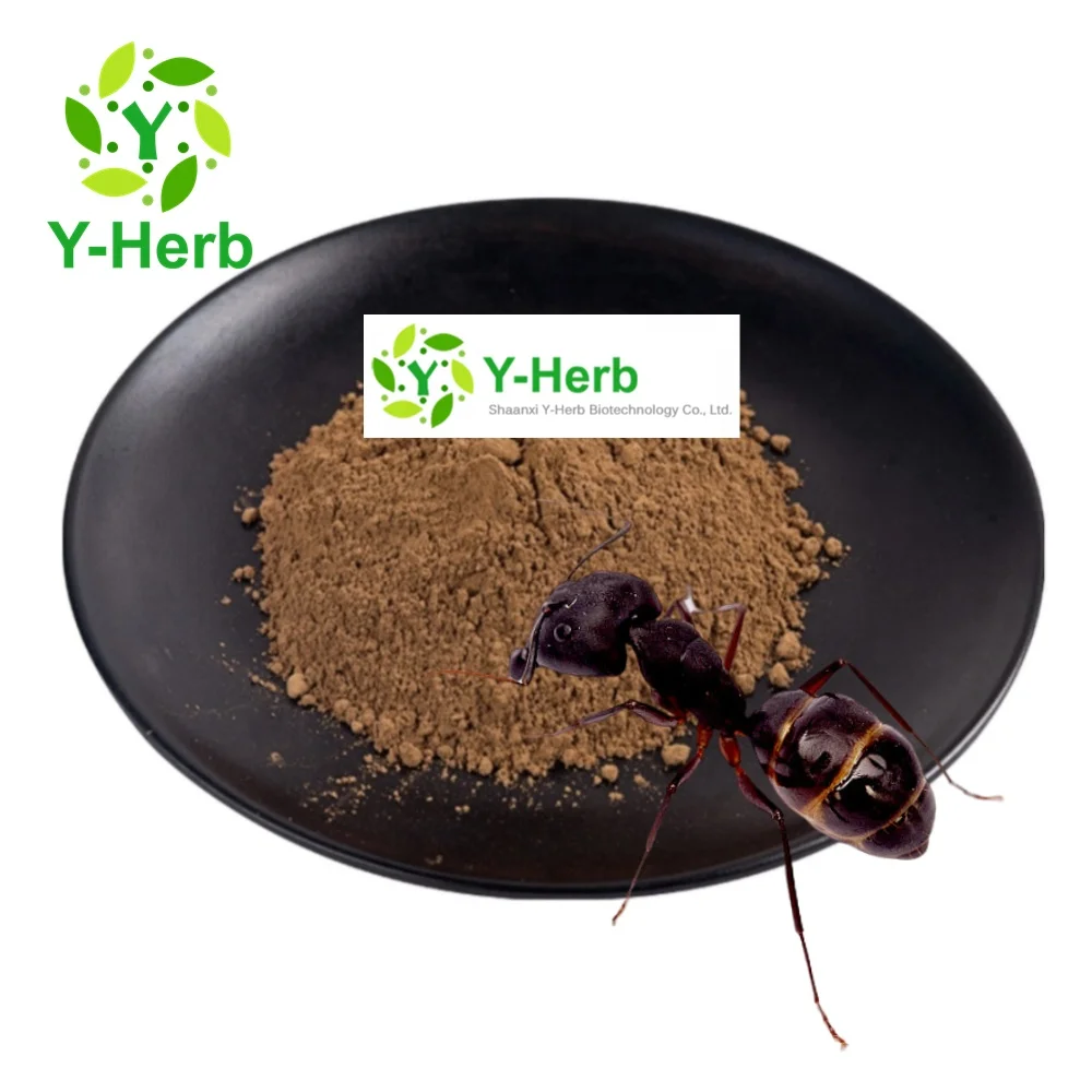 Black Ant King P.E. 20:1 Black Polyrachis Ant Extract Powder 50:1 10:1 Black Ant Extract