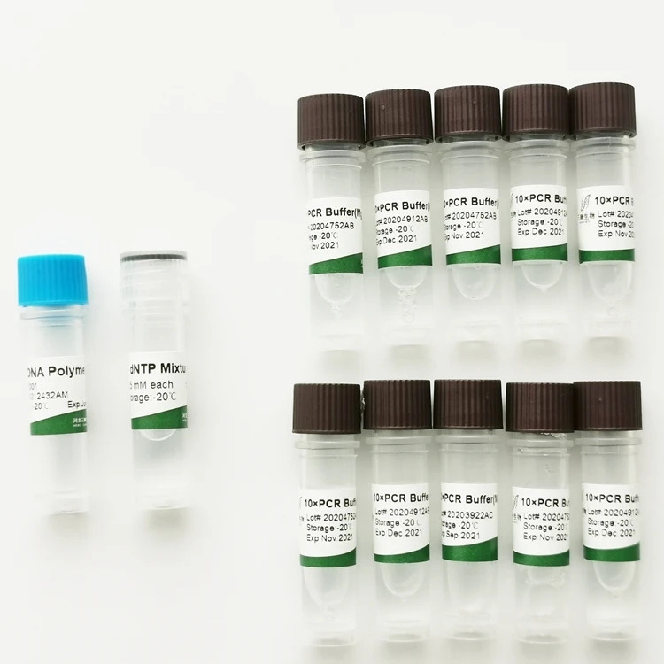 Прямая продажа, многоразовый тест на цепную реакцию taq dna polymerase 5000u (с Mg2 +)