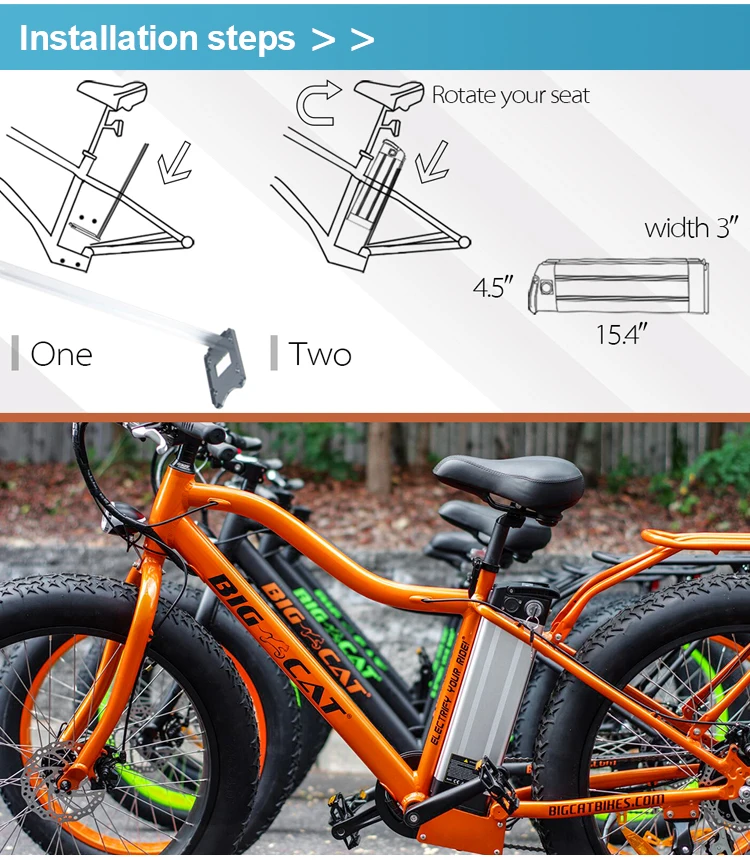 Silverfish Electric Bike 48v 1000w 18650 Cell Lion Lithium Battery with 20ah Nominal Capacity 36v-48v Volt Options