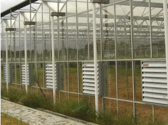 Poultry exhaust  fan for Factory Greenhouse with Shutter exhaust Fans Industrial
