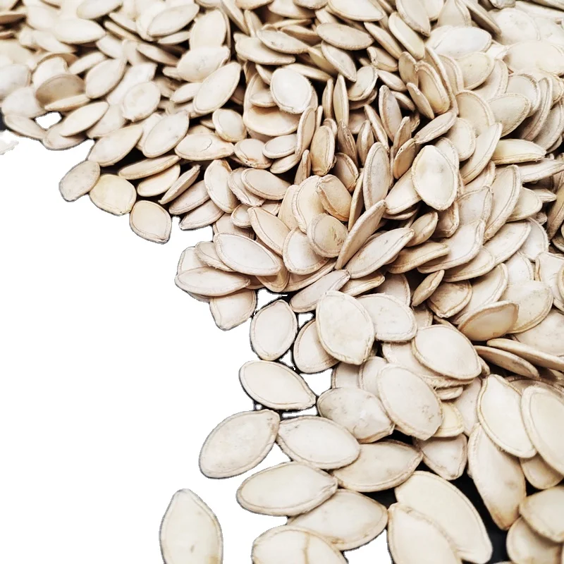 New crop Chinese Xinjiang factory Shine skin pumpkin seeds for eating pumpkin seeds Edible Shiny skin grade 3A pumpkin seeds