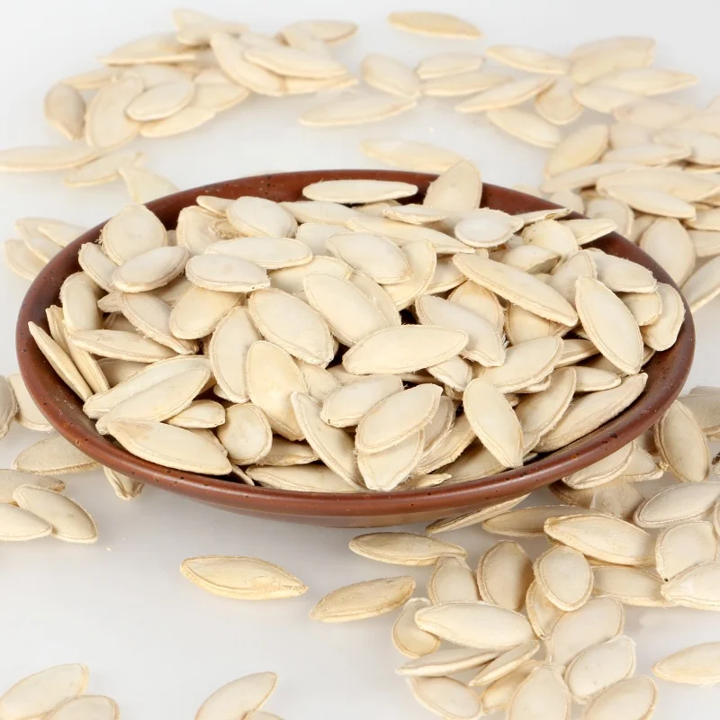 Fresh green Bulk purchase shine skin pumpkin seeds kernels
