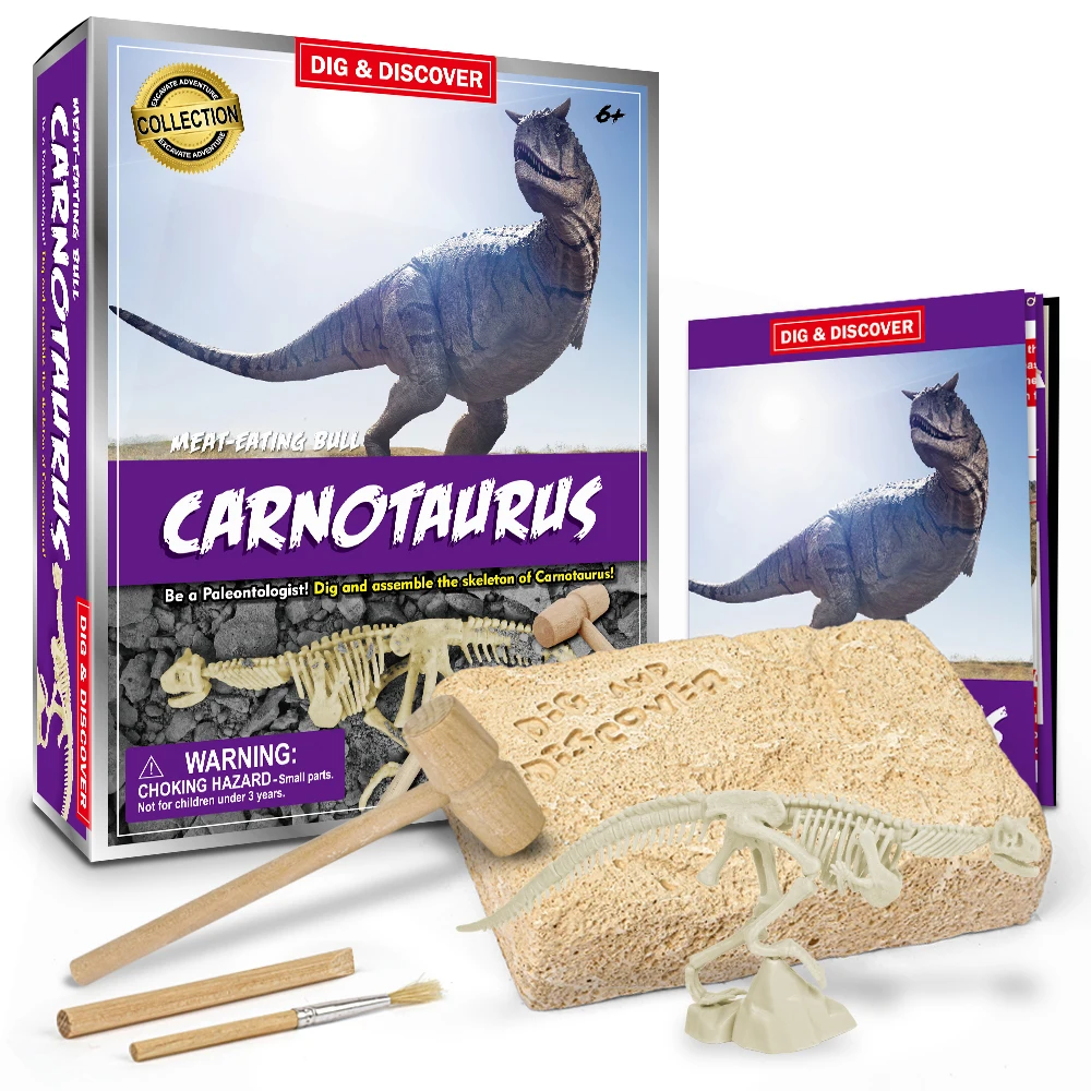 hot selling dinosaur fossil dig kits jurassic world dino toy toys sets for kids