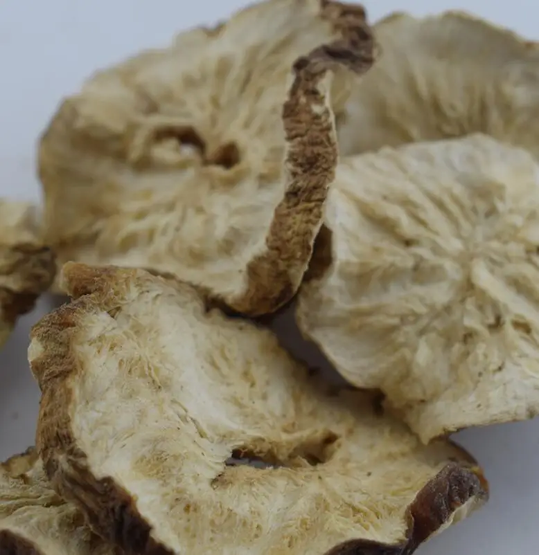 Ju ju bulk dried natural tea RAW Chicory root cuts Cichorii intybi radix for tea