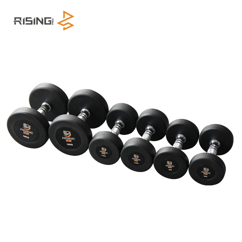 china  RISING Customize dumbbell bench Weight Lifting Pu Dumbbell Set home