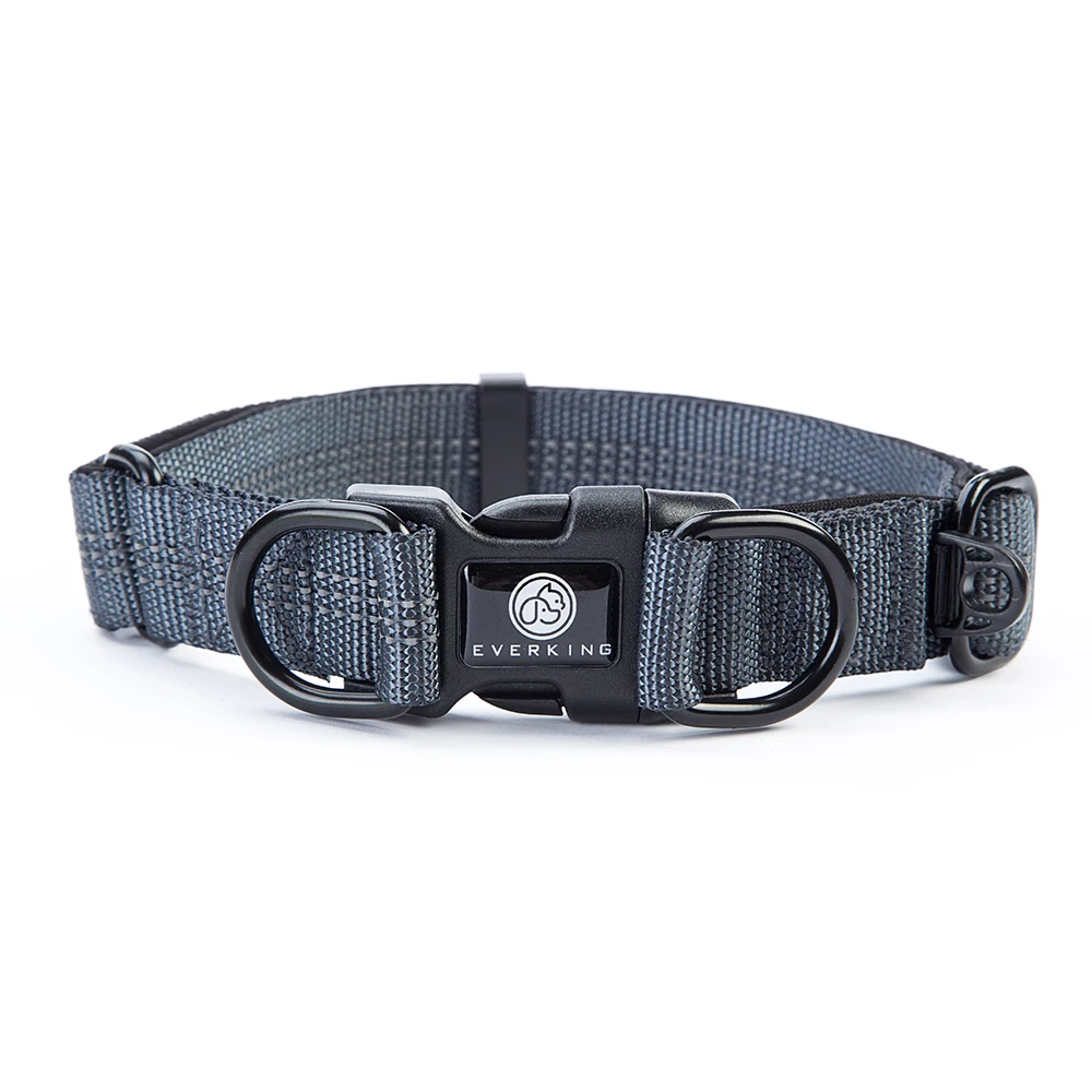 R Strong nylon collar fashion Personalized Logo outdoor dog collar washable