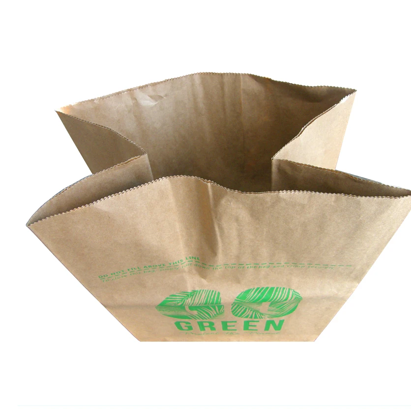 customized large brown Kraft paper 2 ply lawn leaf and yard waste compostable Kraft paper bags