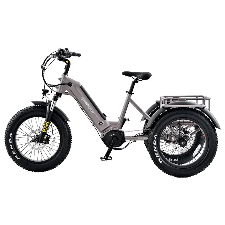 Electric Tricycle Fat Tire High Torque 3 Wheel Electric Tricycle Adult Cargo Electric Bike With Basket